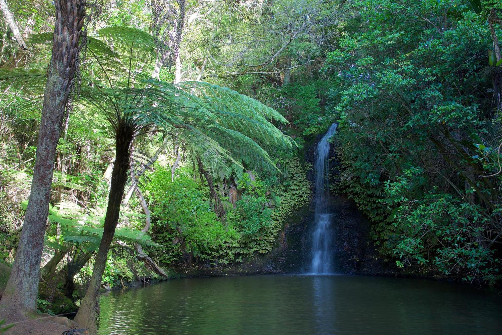 Manuka Views - Close To Thermal Hot Pools Kaukapakapa Exterior photo